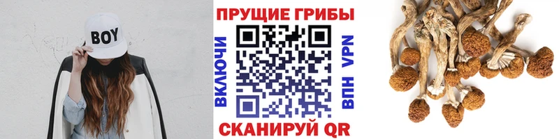 магазин продажи   мега зеркало  дарк нет телеграм  Зеленодольск  Псилоцибиновые грибы прущие грибы 